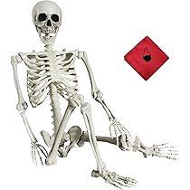 お値下げ‼️人骨模型ジャンク難ありハロウィンディスプレイハロウィン衣装に❗️ お値下げ‼️人骨模型ジャンク難ありハロウィンディスプレイ
