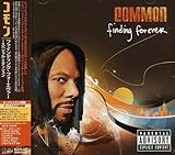 �t�@�C���f�B���O�E�t�H�[�G���@�[�`�X�y�V�����E�G�f�B�V����