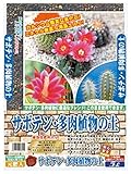 大宮グリーンサービス サボテン・多肉植物の土 5L