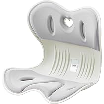 姿勢サポートクッション Amazon.co.jp: イーサプライ 姿勢補正サポートクッション 腰痛