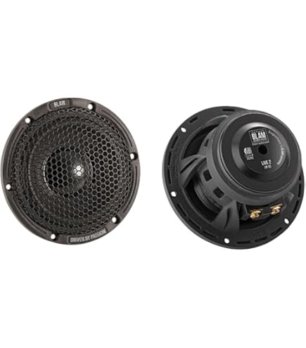 Amazon.co.jp: ブラム LFR 52 5cm マルチスピーカー 車載用