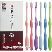 Amazon | 磨きやすい歯ブラシ 極 ふつう 先細毛 6本セット LT-53
