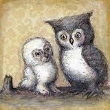 Oopsy Daisy Canvas Wall Art, Two Little Hoots, 14' x 14' [並行輸入品]