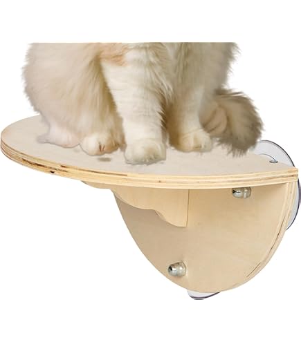 Amazon.co.jp: キャティーマン (CattyMan) 木製 猫専用見晴らし台