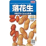 サカタのタネ 実咲野菜7570 落花生 00927570