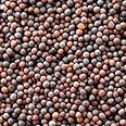 神戸アールティー ブラウンマスタードシード 1kg Brown Mustard Seed ブラウンマスタード マスタード ホール スパイス 香辛料 業務用