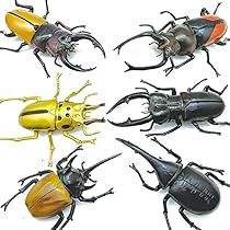 【美品】カブトムシ/クワガタヒィギュア13体セット カブトムシ クワガタ 昆虫 フィギュア セットの通販 by こめ's