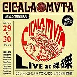 CICALA-MVTA����20���N�L�O LIVE at ����