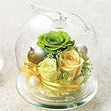 【ベルシック】 プリザーブドフラワー アップルローズ 枯れないお花 お祝・お見舞い <即日出荷><送料無料(一部地域を除き)> (グリーン)