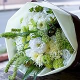 花束 生花 ギフト 6Lサイズ （ ホワイト グリーン 系 ） 大臣賞受賞 デザイナー お任せ花束