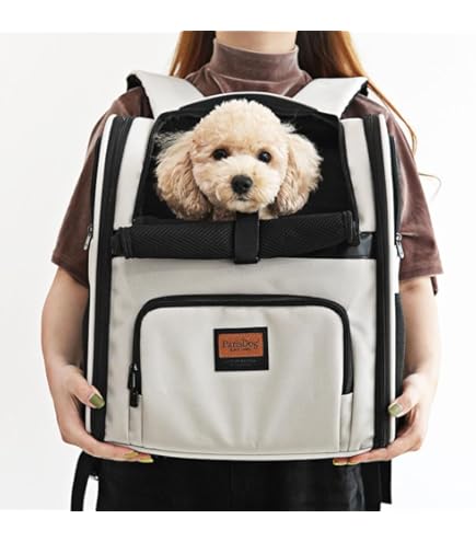 Amazon.co.jp: RITOGATO（リトガト）VODDLY クールフロントバッグ