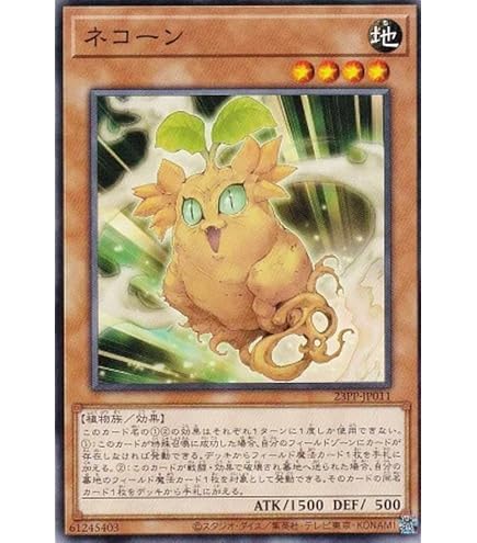 P13★特選一品★希少レア激安☆聖なる樹【神秘的な香り☆バロサントウッド】❤️ P13☆特選一品☆希少レア激安☆聖なる樹【神秘的な香り☆バロ