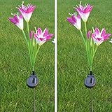 RaiFu ソーラーライト 4頭 リリー ピン ランプ ファッション クリエイティブ ナイトライトヤード ガーデン 装飾 2 Pcs パープル