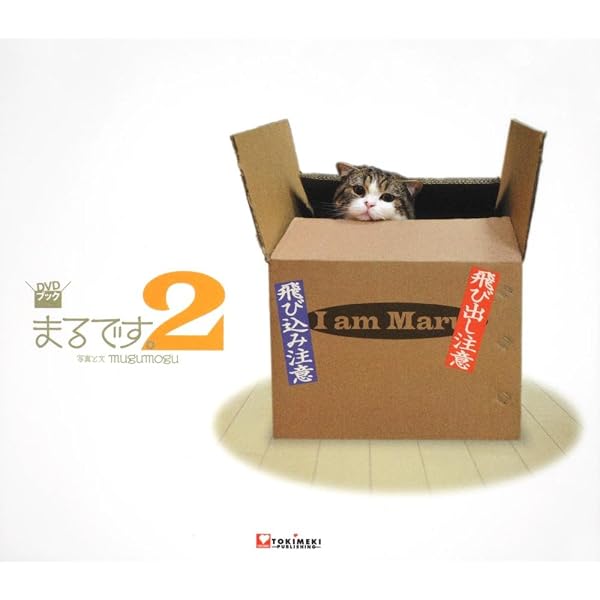 Amazon.co.jp: まるです。-I am Maru- [DVD] : まる: DVD