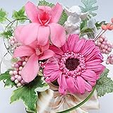 枯れない花の贈り物　エリーゼ　プレゼント 花 プリザーブドフラワー ギフト