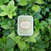 Amazon | Gentle Lenormand（ジェントルルノルマン） ｜ OTOM