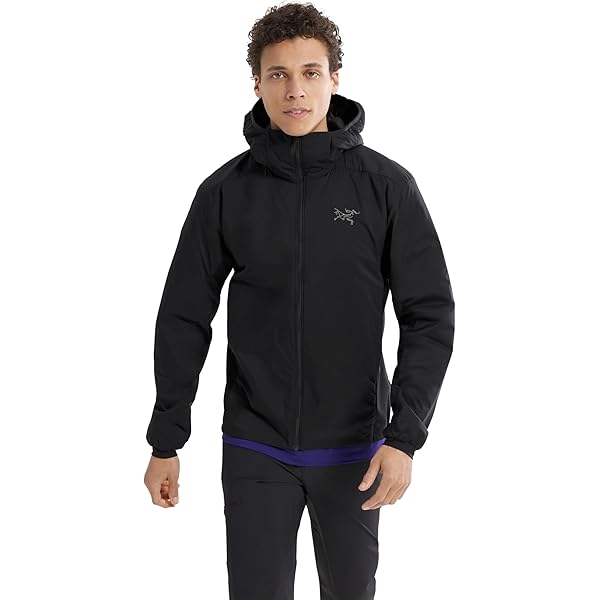 Amazon | ARC'TERYX(アークテリクス) Atom LT Jacket Men's アトム LT