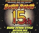 BURN DOWN STYLE -15th ANNIVERSARY ANTHEM MIX-