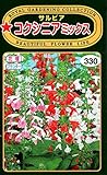トーホクの種 サルビア コクシニアミックス 花 0.3ml