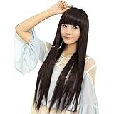 ウィッグ スーパーロング フルウィッグ 小顔効果 ストレート 可愛い ファッション コスチューム用小物 定番 日常 カジュアル サイズ調整 ネット付 レディース ボリューム 快適
