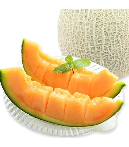 Amazon.co.jp: 北海道夕張産 夕張メロン5玉（共撰・優品・8kg） : 食品