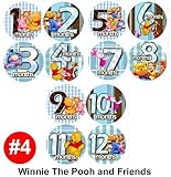 Monthly Baby Bodysuit Stickers, WINNIE POOH FRIENDS Baby Month Onesie Stickers Baby Shower Gift Phot