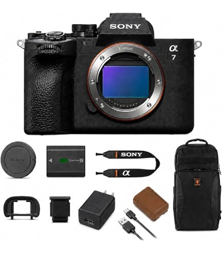 Amazon.co.jp: Sigma 24-70mm F2.8 DG DN II アートレンズ Sony E