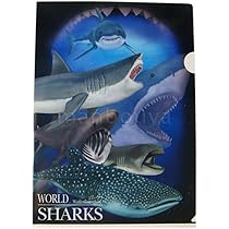 Amazon.co.jp: ザ・アクセス クリアファイル 鮫 大全 水族館 A4