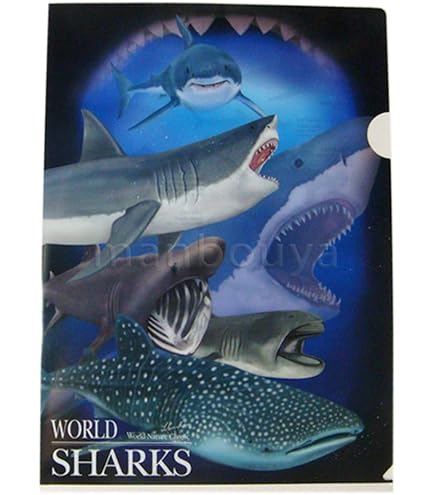Amazon.co.jp: ザ・アクセス クリアファイル 鮫 大全 水族館 A4