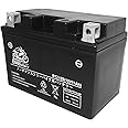 BMBattery バイク用 バッテリー 液入り 充電済み BTZ12S (YTZ12S / FTZ12S / CTZ12S / STZ12S / DTZ12S 互換)