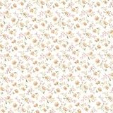 Brewster 487-68867 Lizabeth Allover Floral Wallpaper Peach [並行輸入品]