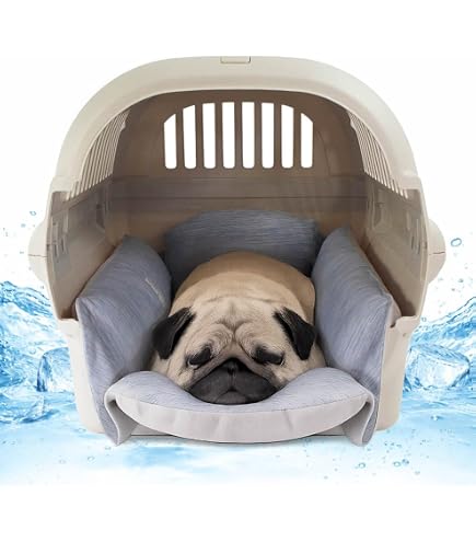 いなこ【美品】Helen's クレートクッション iCOLD 2枚 Amazon | Helen's 夏用 あごのせ縁無し クレートクッション iCOLD 接触