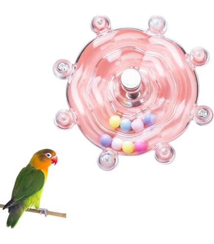 Amazon.co.jp: オカメインコB(灰) 手のりインココレクション