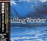 �Z�C�����O�E�����_�[