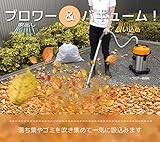 VERSOS ブロワー バキューム クリーナー 乾湿両用 業務用掃除機 乾いたゴミ 湿ったゴミ 吸水 集塵 会社 事務所 家庭 店舗 店 ショップ 屋外 清掃 VS-7305