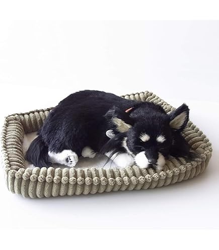 Vlfn 革犬マネキン立ち犬モデルおもちゃペット動物ストアディスプレイマネキン (ホワイト,L（レギュラーLサイズ）) 【楽天市場】マネキン 犬の通販