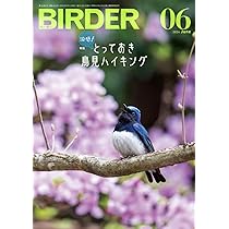 BIRDER（バーダー）2024年7月号 鳥見力アップの良書たち 人生を変える