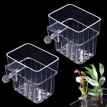 Amazon.co.jp 最新リリース: 観賞魚用品・アクアリウム の新着