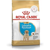 Amazon.co.jp: ロイヤルカナン BHN ラブラドールレトリバー 子犬用