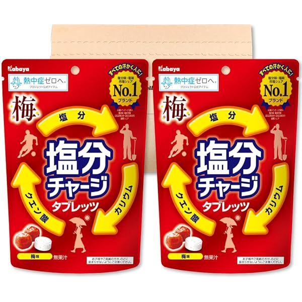 カバヤ えんぎ堂本舗2 シークレット（宝船）含む全21種 コンプセット