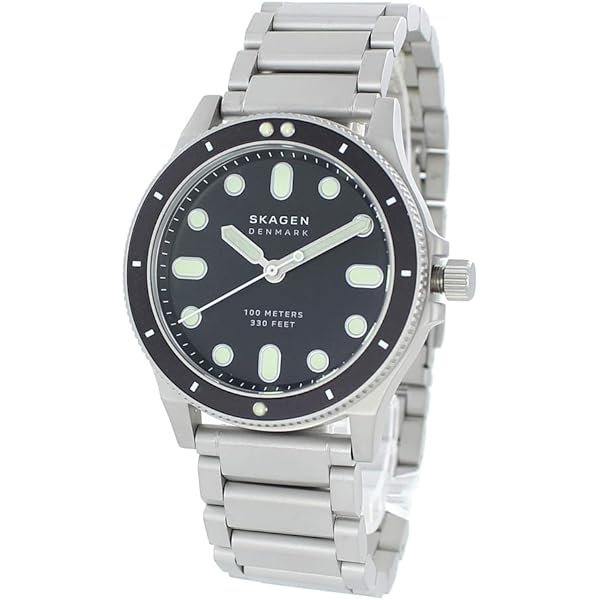 Amazon.co.jp: [スカーゲン] 腕時計 FISK TITANIUM SKW6717