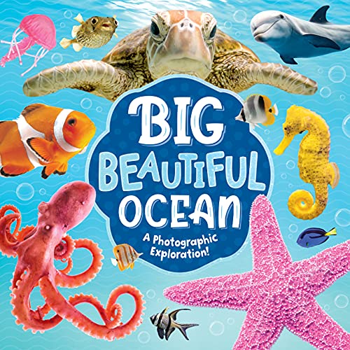 Amazon Big Blue Ocean Kidsbooks Publishing Photography