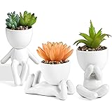 【3個入】人工植物の装飾、造花 観葉植物、卓上鉢植え、シミュレーション多肉植物、テーブルデコレーション (白)