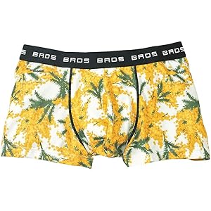 [ブロス] ボクサーパンツ BROS×Pantovisco ハナコトバパンツ メンズ