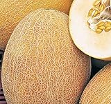 種子メロン北京月は有機栽培された中国の家宝バラエティNON-GMO