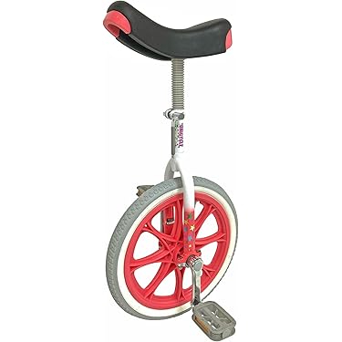 Amazon.co.jp 売れ筋ランキング: 一輪車 の中で最も人気のある商品です