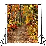 7x5ft autumn forest path theme photography vinyl backdrop