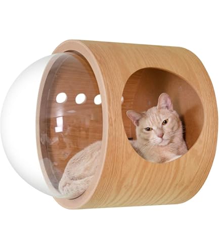 Amazon | MYZOO 六角ハウス キャットタワー キャットウォーク 猫用 壁