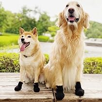 61XEOAlkZIL._AC_UL210_SR210,