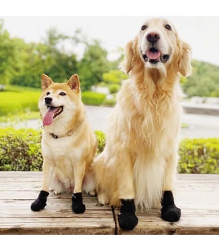 Amazon.co.jp: アニフル (anifull) アニサポ ナックルンHERO XSサイズ